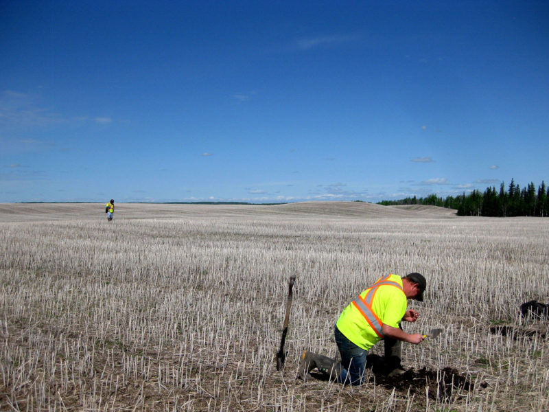 Archaeological Impact Assessment (AIA) being performed by worker in field